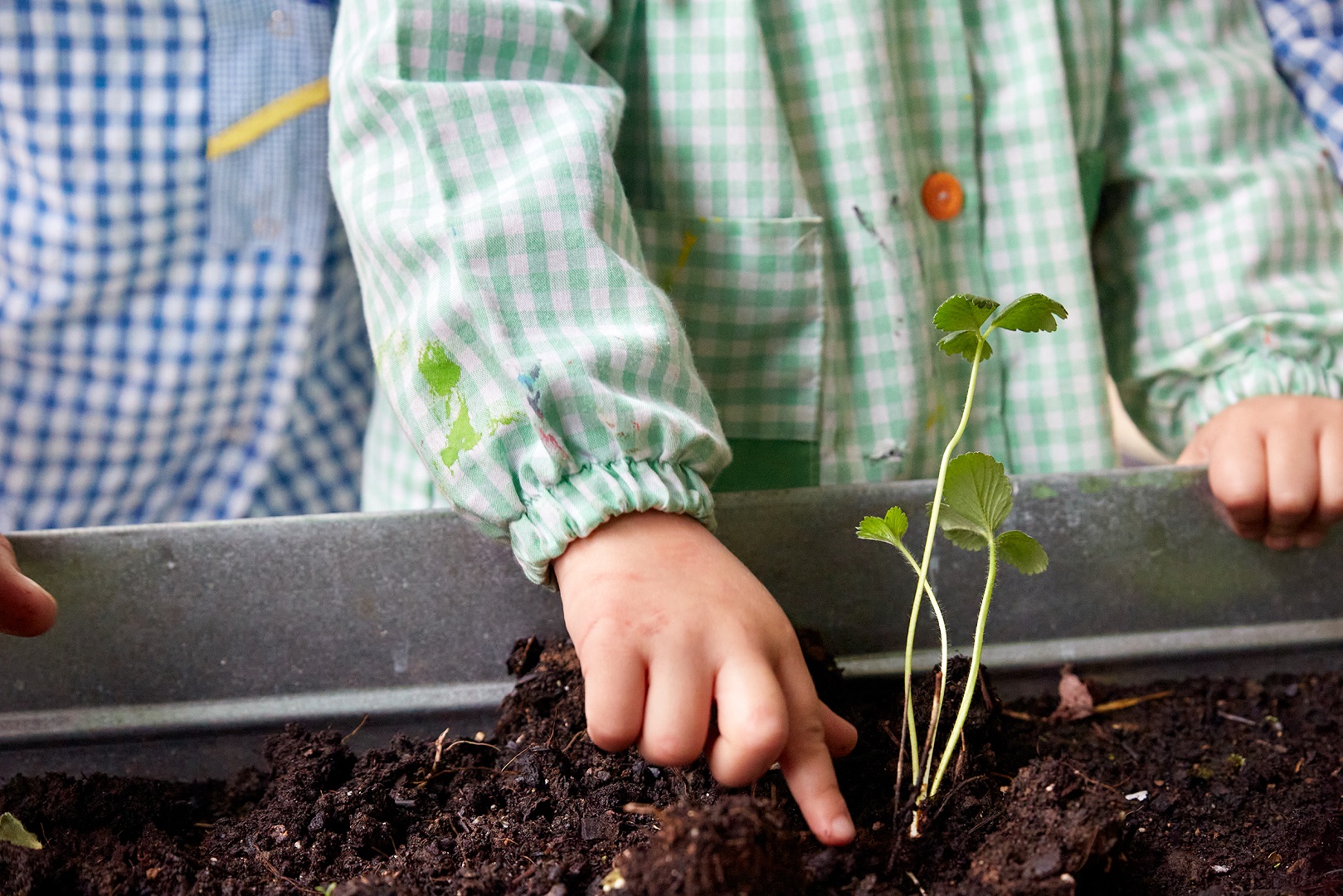 El Ayuntamiento adjudica el servicio de cocina y comedor en las EEI de La Toba, El Quirinal y La Magdalena  a la empresa Decuchara